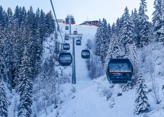 Pool By Interhome * Morgins